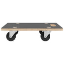 vidaXL 2 db négyszögletű szállítókocsi 250 kg 50 x 35 x 11,5 cm